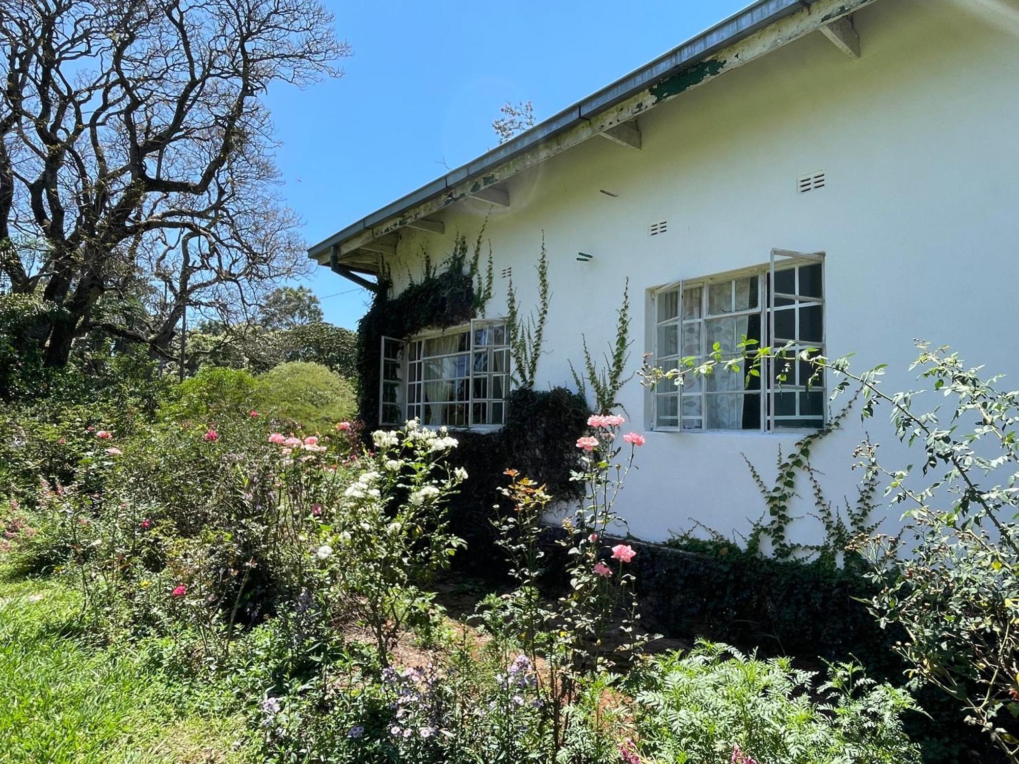 Huntingdon House And Chawani Bungalow 티올로 현 외부 사진